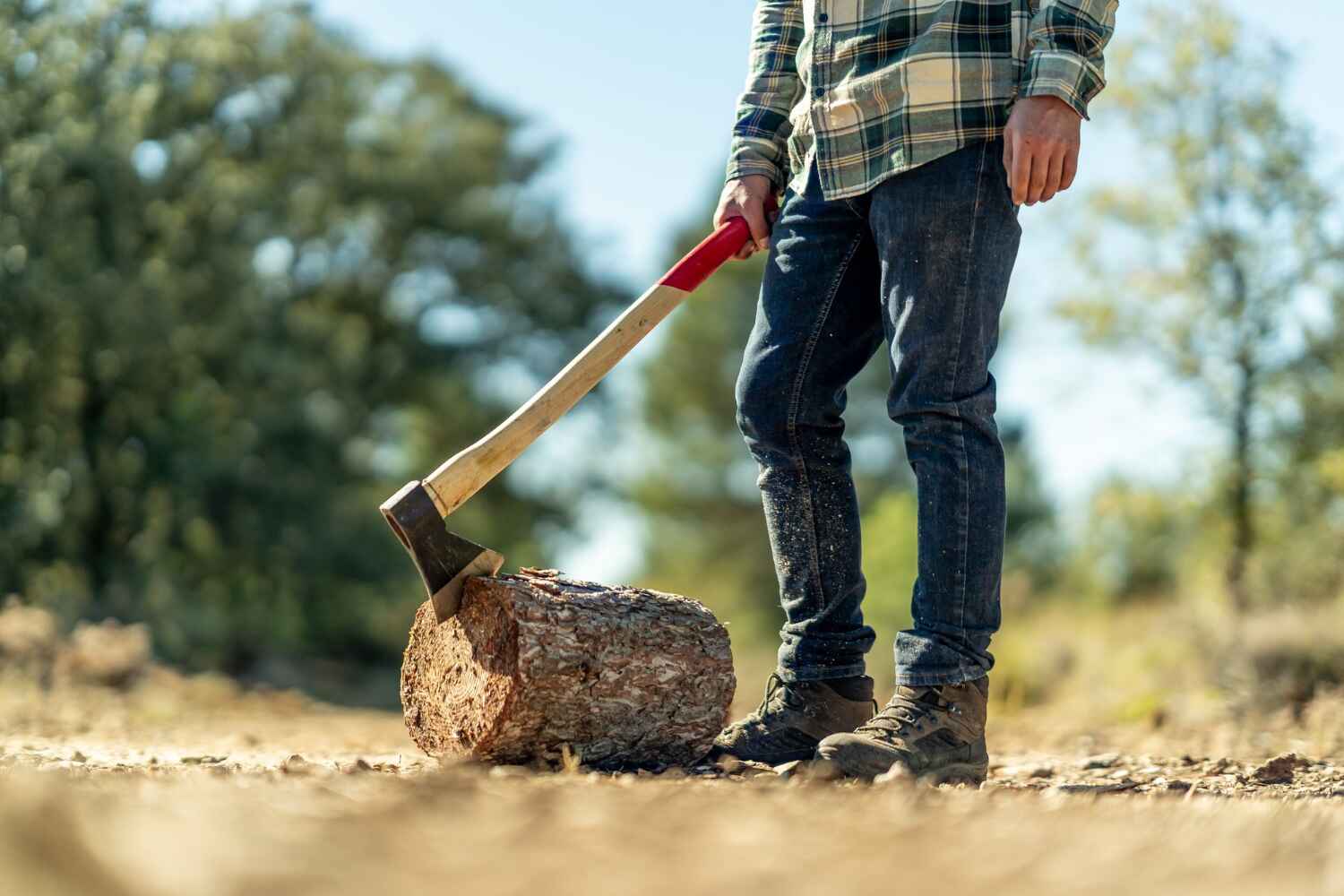 Best Tree Removal Near Me  in Livonia, MI